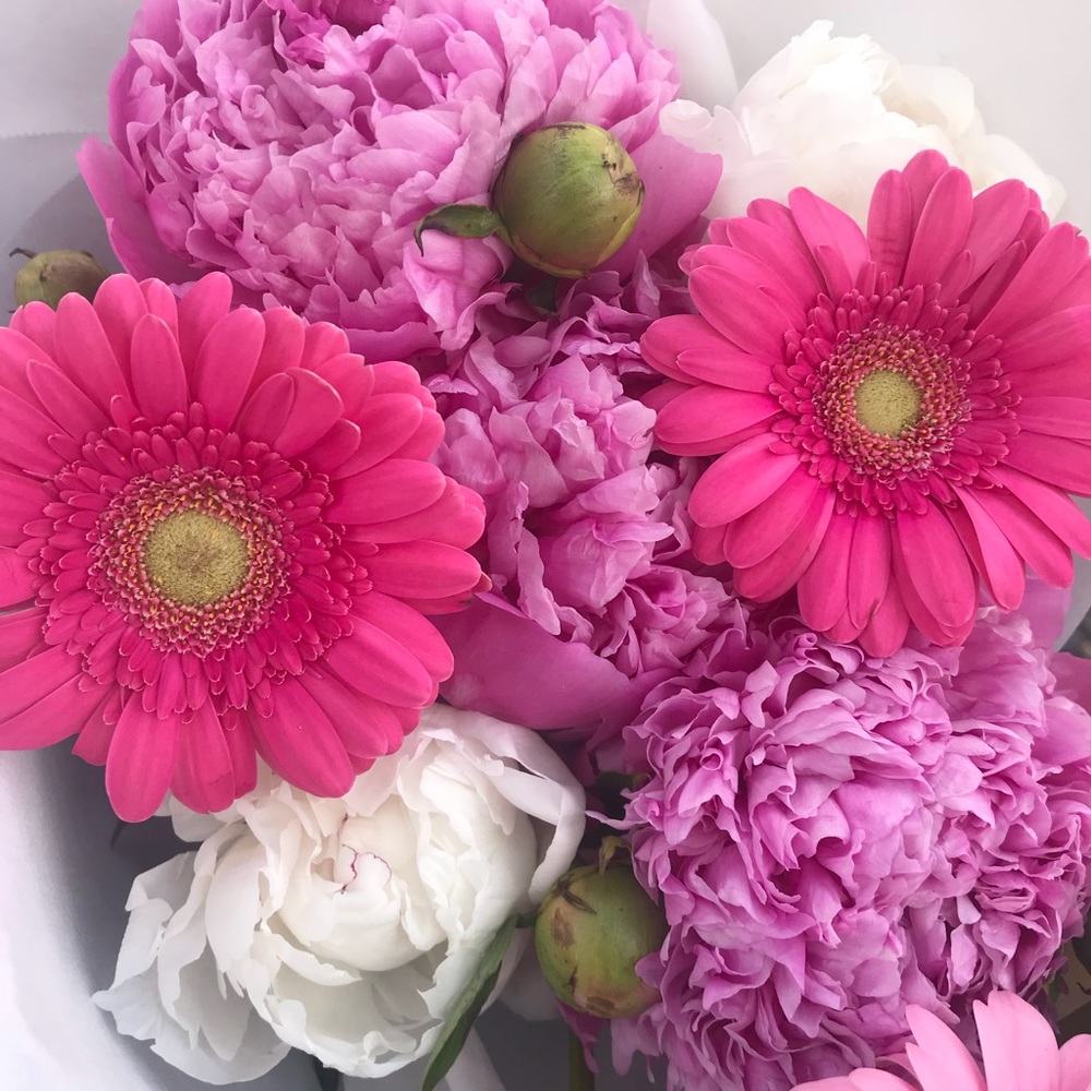 Meet your Posher, Cristina